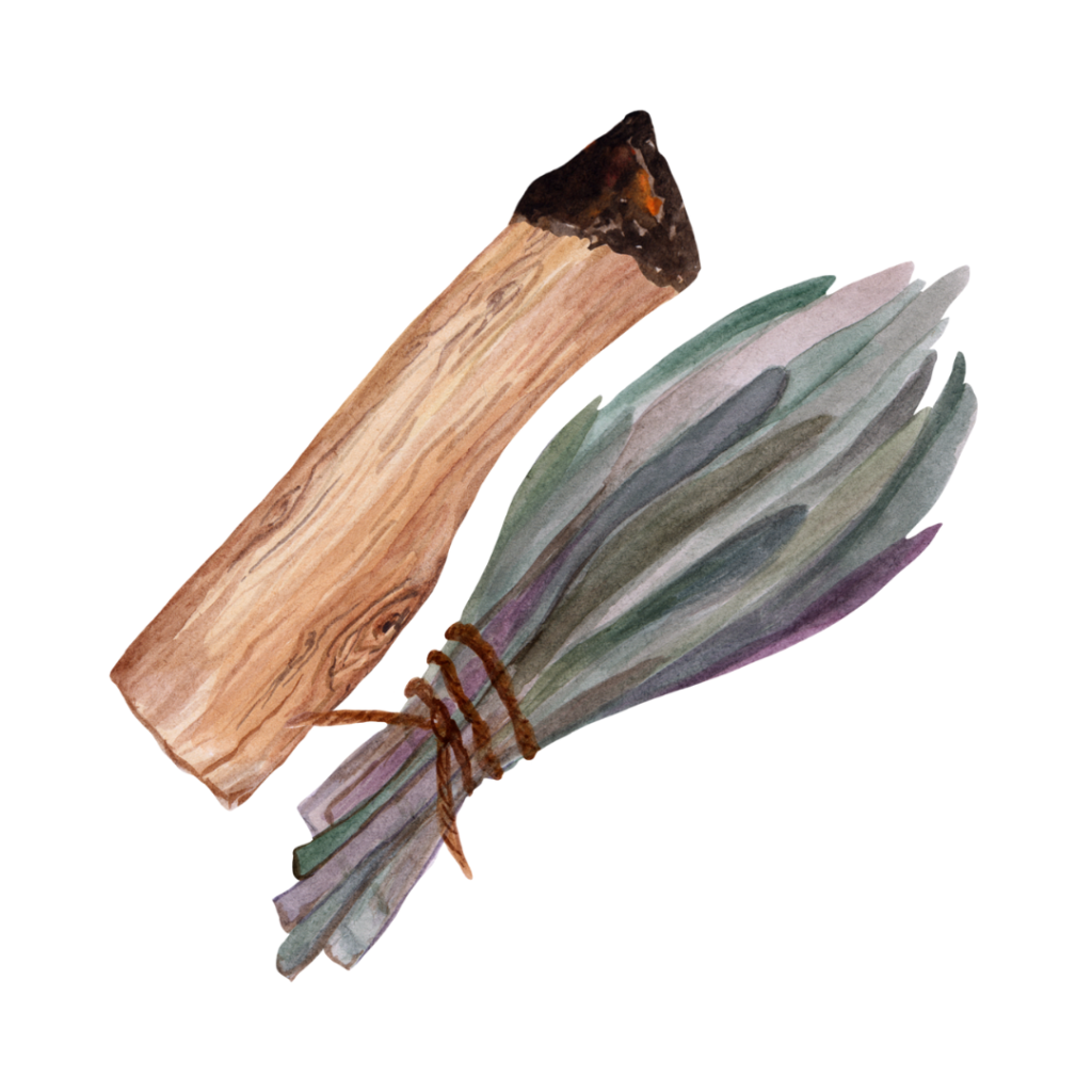 Aquarellzeichnung Räucherbündel und Palo Santo Holz