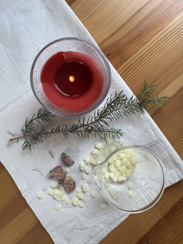 Kräuterkurs Pechsalbe Kräuterkurs Pechsalbe